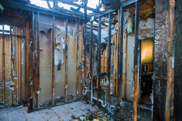 Professional Fire Damage Removal technician working in Norristown, PA